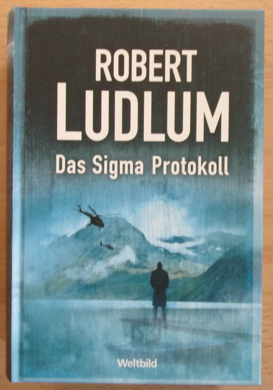 Robert Ludlum - Das Sigma Protokoll - Gebundene Ausgabe - TOP! - Robert Ludlum
