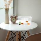 Foto 10 di 12