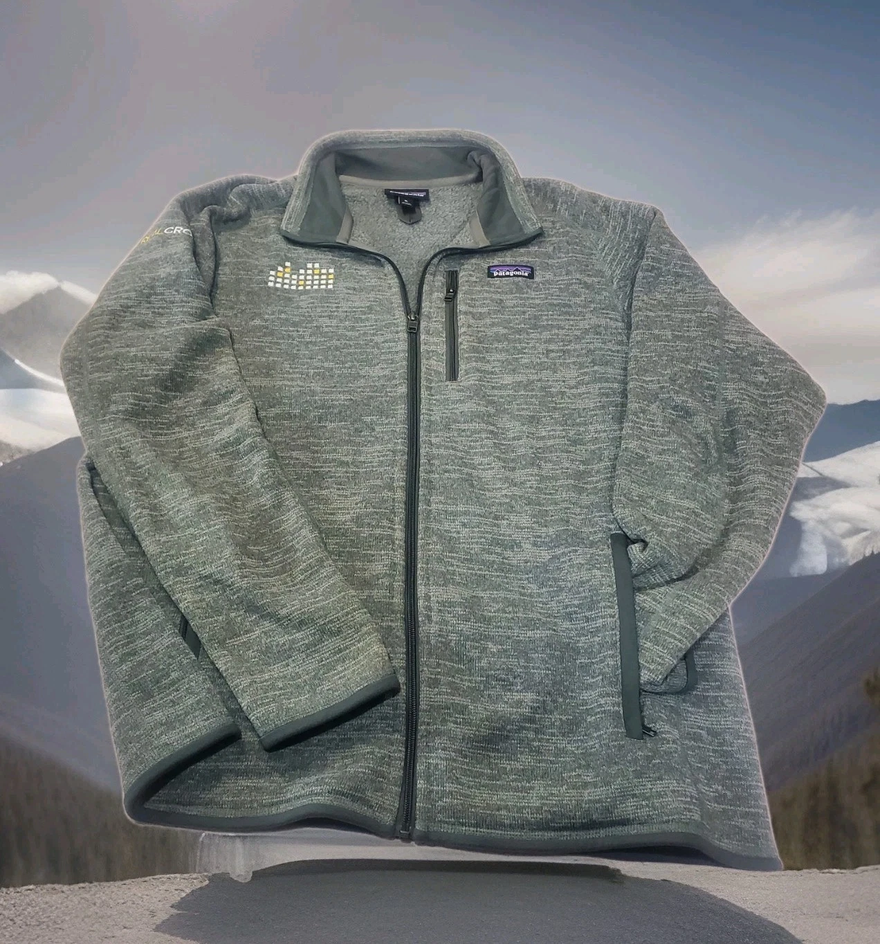 Patagonia Full-Zip Fleece Jacket XL Gray Made in Sri Lanka Patagonia & RealCrowd