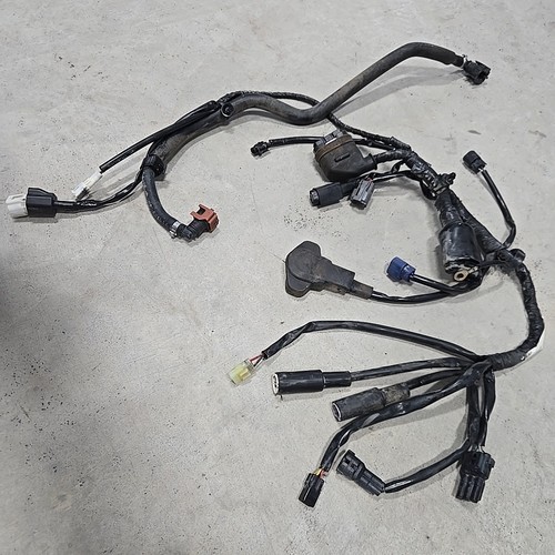 Yamaha YZ450F 2017 OEM cableado eléctrico arnés de cables 14-17 YZ - Imagen 7 de 7