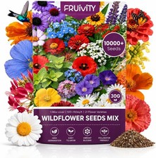 Wildflower Seeds Bulk 10000+, 1.06oz 21 Variety Perennial Mix, Multicolor 256.45 per gallon