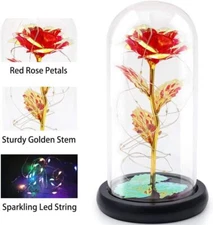 Eternal Forever Galaxy Rose Flower In Glass Dome LED Light Romantic Gift for Her