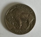 Photo 6/15