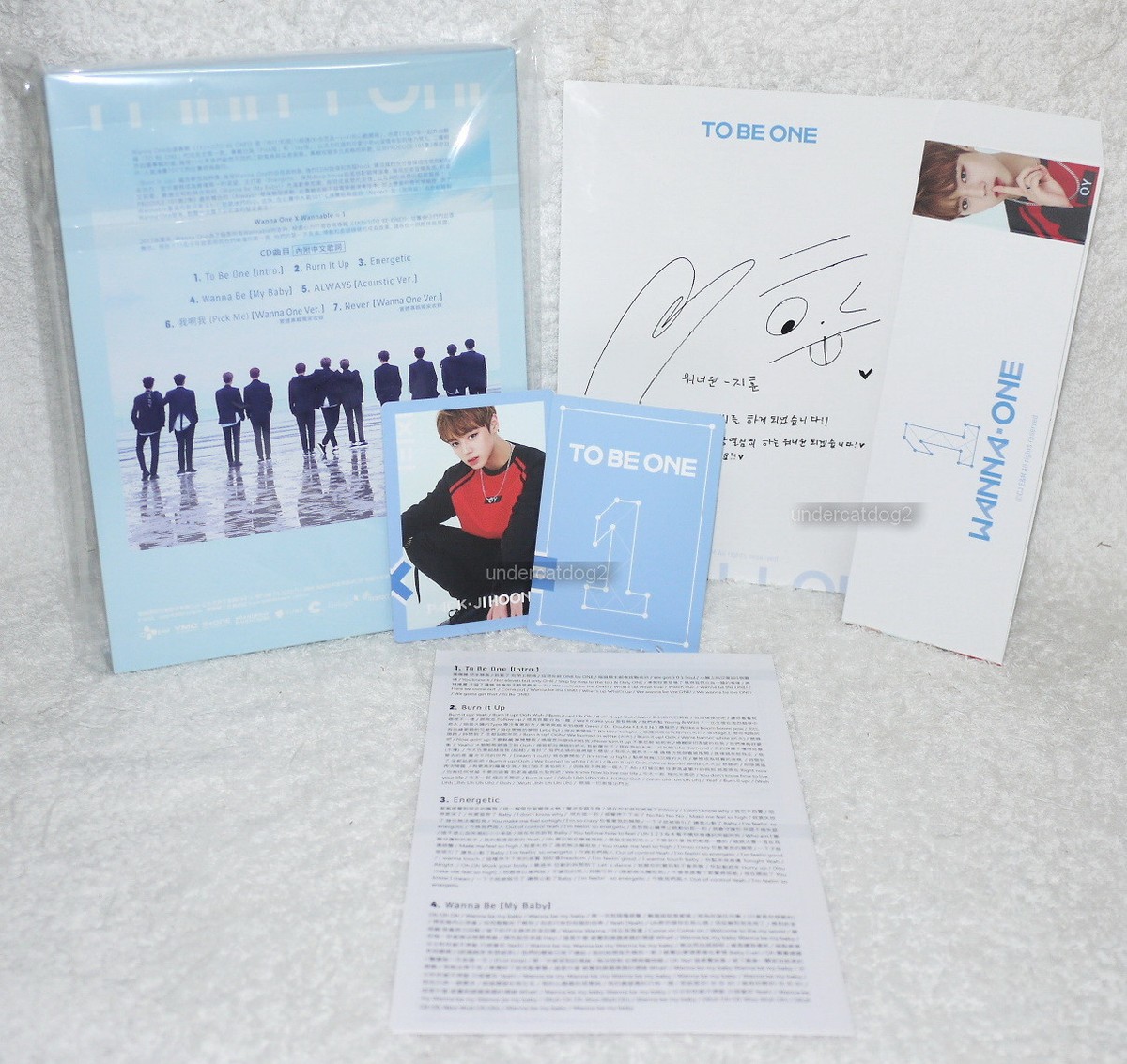 WANNA ONE 1X1=1 TO BE ONE Sky Ver. Taiwan Ltd CD+Park JiHoon