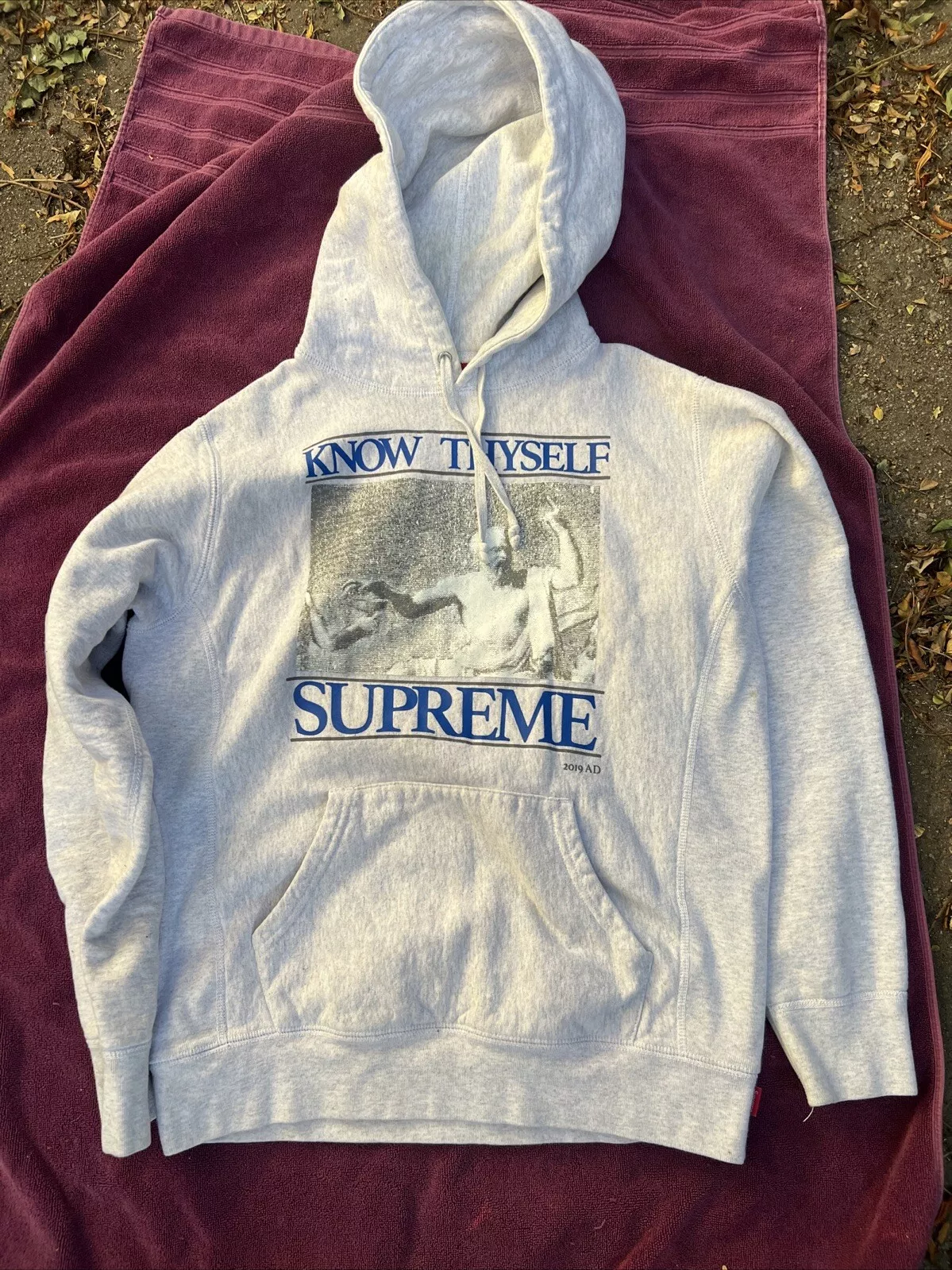 Sweat à capuche Supreme Know Thyself (gris) taille S en parfait état 