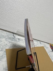 Arc the Lad Wonder Swan Crystal WSC Wonderswan Color Strategy Guide Used