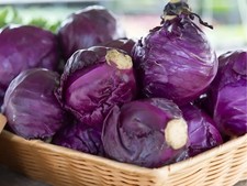 600 Heirloom Red Acre Cabbage Seeds - Classic Purple Cabbage Crisp&Tender NoNGMO