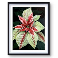 The Christmas Flower - Original Christmas Floral Art 12x9 Acrylic Painting