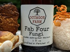 Reishi/Cordyceps/Lion's Mane/Chaga Tincture double extraction mushroom fungus