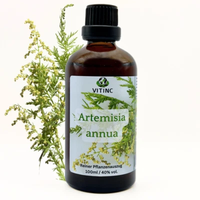 Artemisia Annua | Tinktur | Einjähriger Beifuß | 100ml/40% vol | VITINC ®