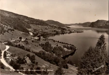 Vintage Postcard Hardanger Norway Scenic Valley Mountain Landscape