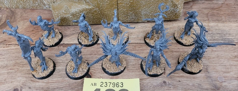 Warhammer AOS, 10x Daemonettes of Slannesh, construido, sin pintar. Foto 2 de 2