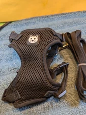 Vibrant Life Black Cat Harness with Leash