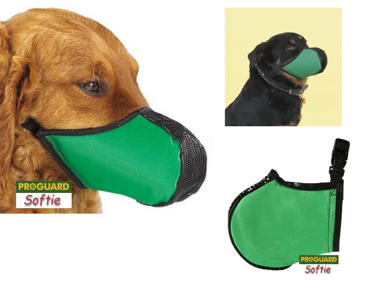 Ebay 2025 dog muzzle