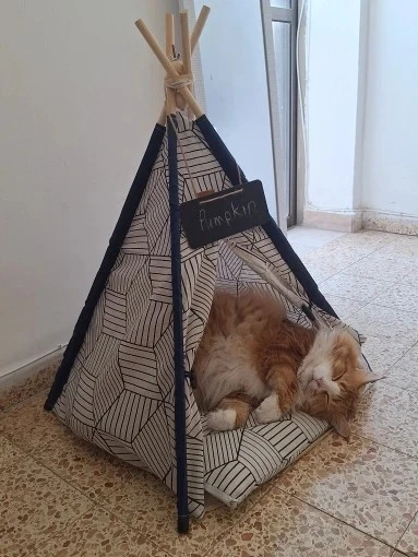 宠物帐篷猫狗屋室内床带靠垫便携式可水洗帐篷 — 第 4/4 张图片