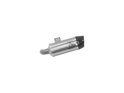 ARROW INDY RACE AUSPUFF ENDTOPF ALUMINIUM CARBONBODEN BMW F 900 R 2020