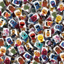 Sesame Street 22 - 16" x 48" Hydrographic Film Hydro Dipping