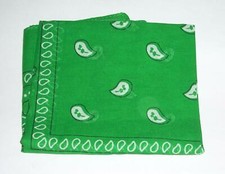 New Green White Black Bandanna Paisley