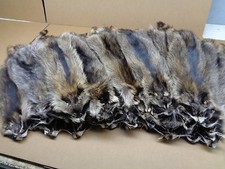 Professionally Tanned Slt Damage Raccoon/Coon Hide/Furs/Pelts/Taxidermy/Crafts