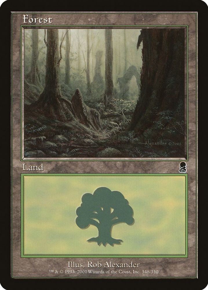 2001 Magic: The Gathering: Odyssey - Forest 348 (#348, L, Near Mint)