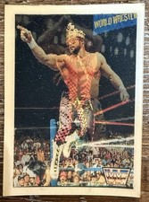 1990 Hasbro WWF Lenticular - Randy Savage