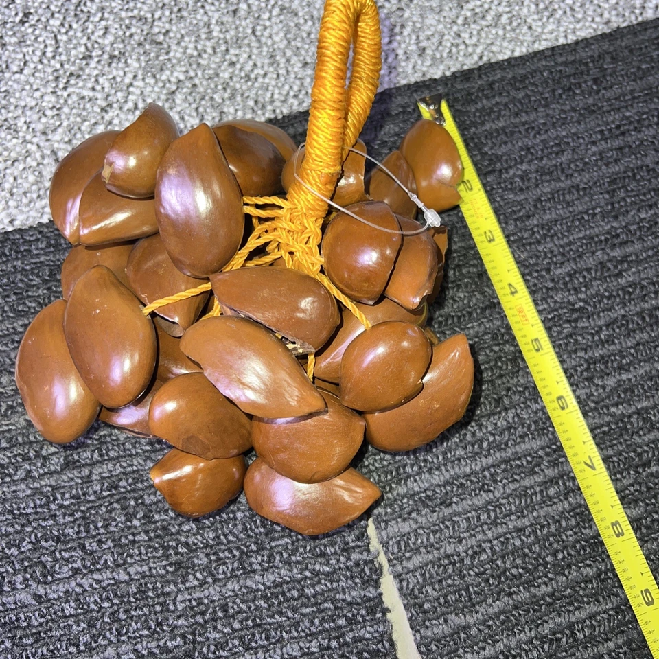 Seed Pods Shaker Rattle Percussion Instrument Music Sound Healing Drum Circle - Image 3 of 3