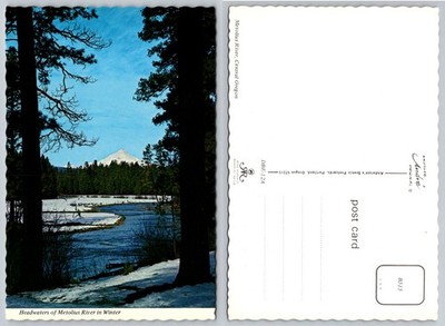 Metolius River Headwaters Winter Postcard Central Oregon Scenic Mountain Trees