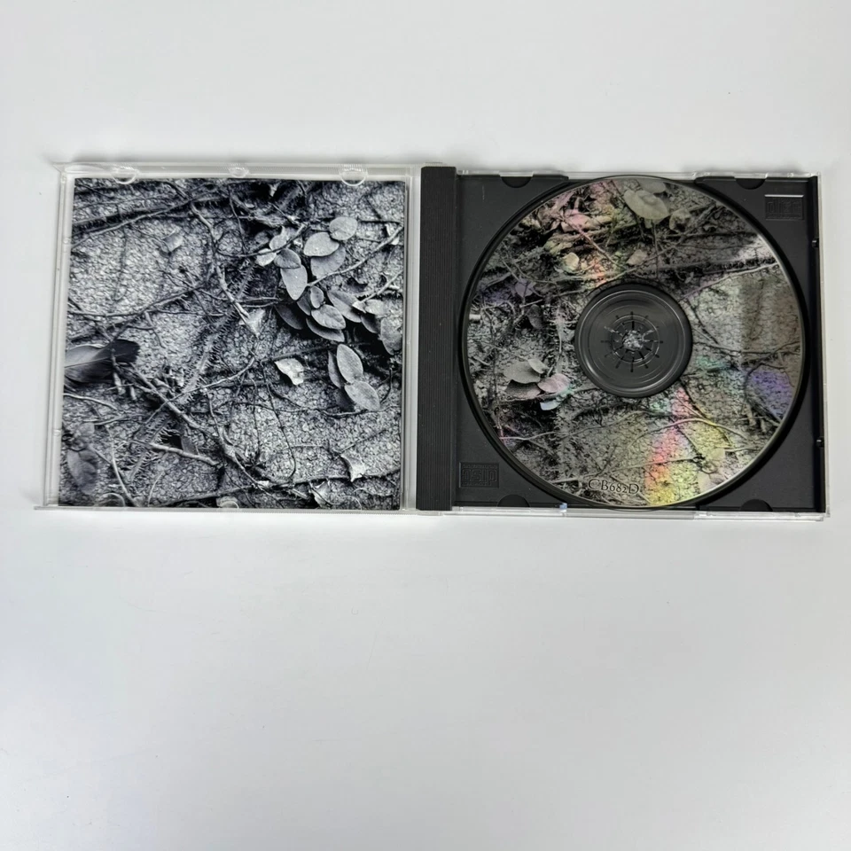 Alternator by Various Artists (CD 1996 Dino Music) 17 pistas Foto 2 de 4