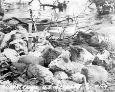 Guadalcanal Campaign World War II WWII WW2 8x10 Photo 711c