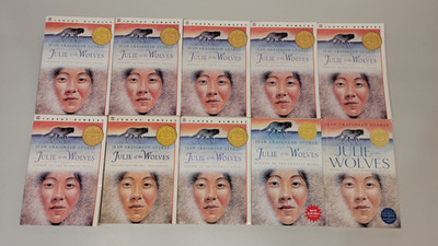 Guided Reading Lot of 10 Julie of the Wolves Jean Craighead George Class Set PB