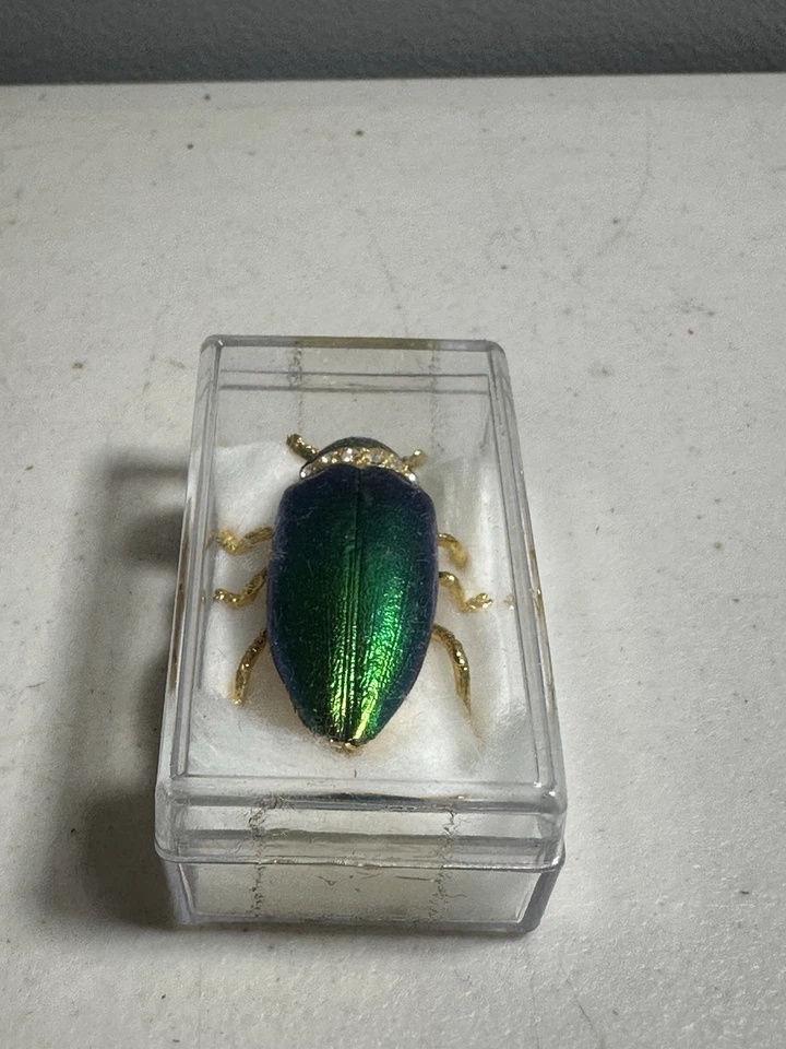 Vintage Real Green Elytra Jewel Beetle Bug Insect Rhinestone Lady Pin Brooch - Image 4 of 4