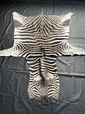 Burchell Steppenzebra Zebrafell aus Südafrika - 3,00 m L x 2,00 m B *NEU*