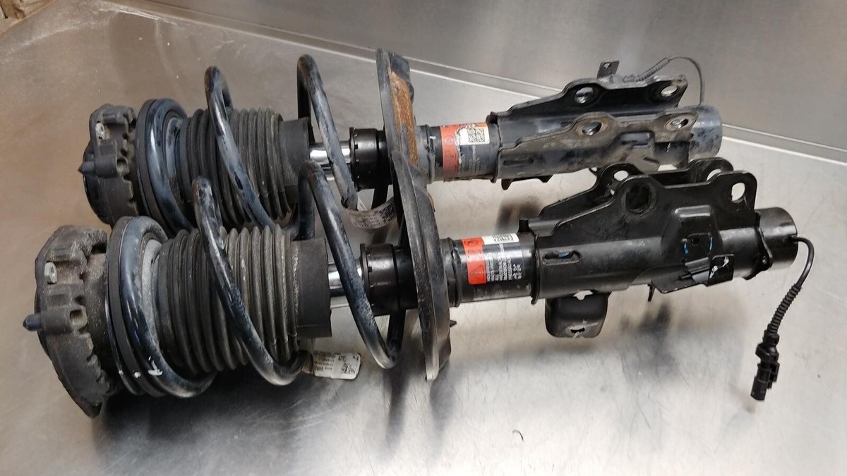 カラマリ R-7261 Sakura 30