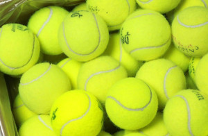 1 2 4 8 10 or 25 used high-quality TENNIS BALLS good condition! DOG TOYS WALKERS