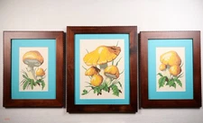 Set of 3 vintage 1970s Craft Master "Mushroom Fantasy" paint by number