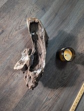 Driftwood So Cal CA Beach Ocean Wood Sculpture Art Landscape Decor Many Angles