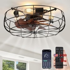 20" Caged Ceiling Fans with Lights and Remote, Flush Mount 20 Inch Black