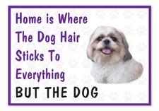 Home is Where The Dog Hair- Divertido Shih Tzu Vinilo Coche Furgoneta Calcomanía Adhesiva Mascotas