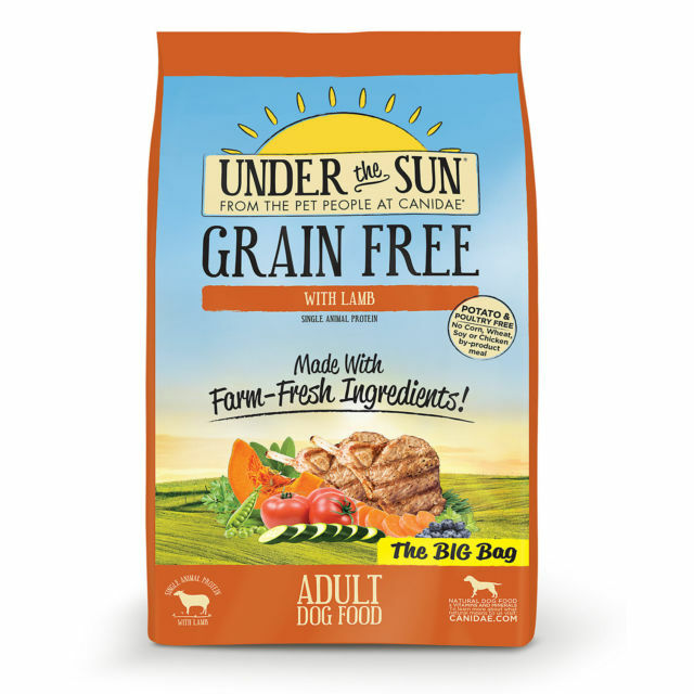 canidae under the sun