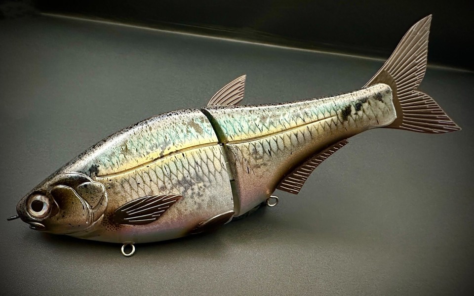 Swimbait Hinkle Shad Junior Clone Golden Shiner 7″ – Leurre Souple Fait Main – Pêche