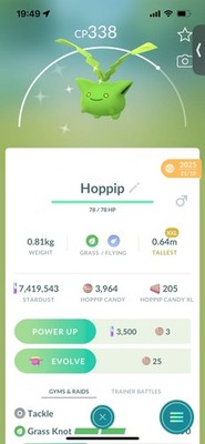 Pokemon Go Shiny Hoppip ( XXL)