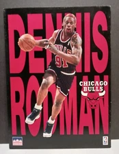 Vintage Dennis Rodman Folder Chicago Bulls School Folder Or Work Folder 