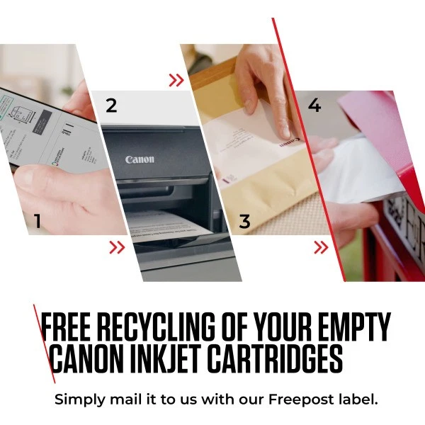 Genuine Original PG-540 CL-541 Combo for Canon Pixma MG3150 - Image 4 of 4