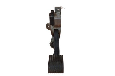 Passend für DAF CF Gaspedal Euro 5 6 Teilenr. 1879731 1943224 DZC