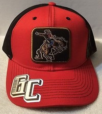 RODEO COWBOY BUCKING HORSE BRONC RIDING ROUNDUP SNAPBACK BASEBALL CAP HAT 5