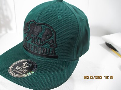 Baseball Hat Cap By: TOP LEVEL California Republic Bear Snapback NewW/Tags GREEN