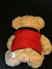  Bear Plush Dress for Winter Soft & Cuddly 15 Inches — photo 4