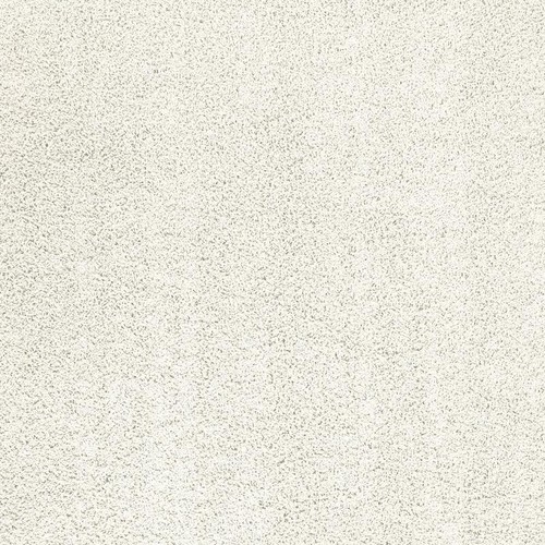 Solid Shag Area Rug Indoor Non-Slip Stain Resistant Home Office Living Room New - Picture 4 of 9
