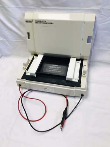 Bio-Rad Trans-Blot SD 221BR Semi-Dry Transfer Cell Electrophoresis Western Blot - Picture 4 of 17
