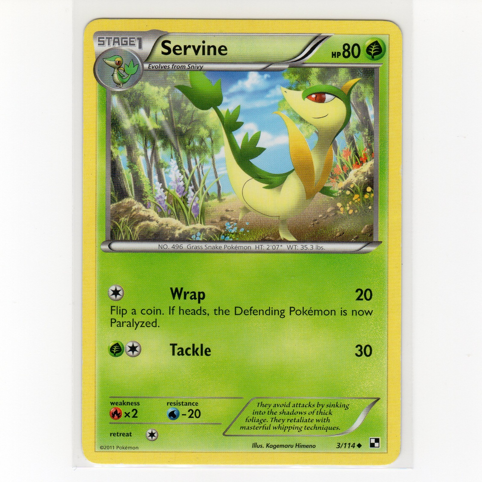 Pokémon TCG Servine 3/114 BW Base Set Regular Uncommon Card EN-MP 2011